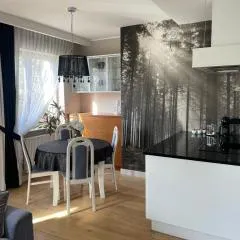 Apartament La Bella klimatyzacja, garaż podziemny, Fv