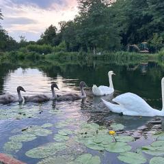 TRANQU'ILL sur les berges de l'Ill