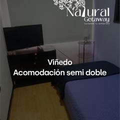 Viñedo NATURAL GETAWAY MOVISTAR ARENA