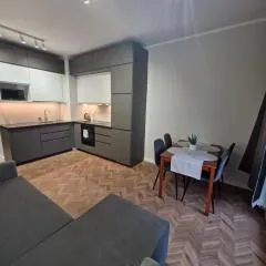 Szarych Szeregów Elegant Apartment