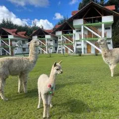 RESORT ALAPA