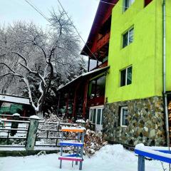 Vila Giulia Voineasa