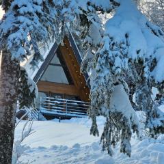 Gorska bajka - Borovica, planinska kuća za odmor i wellness