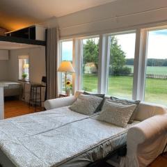 Swedish countryside jacuzzi and pool!