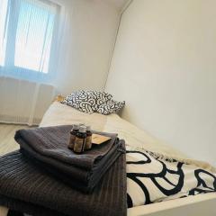 Locuință primitoare, centru Arad,zona Uta, mall Afi