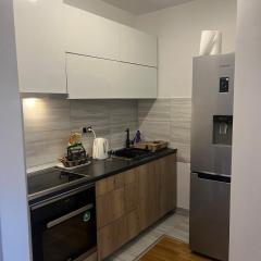 Bulevar apartman sa parking mjestom