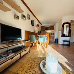 Appartement Vu Mont Blanc parking Terrasse