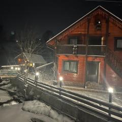 Незабутні Карпати