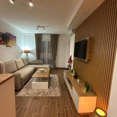 Apartman Vasić