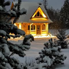 Luxury chalet WRÓBLOWA CHAŁUPKA przy Dolinie Chochołowskiej