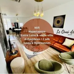 Vue Loire, hypercentre, spacieux, familial, climatisé, le Quai de Loire