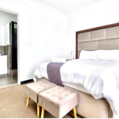 Super Luxury home Sandton