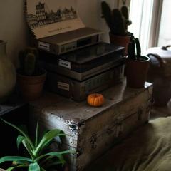 O Saudade - Centre Perpignan