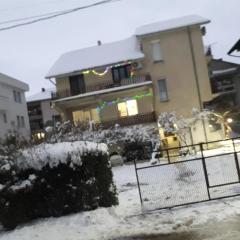 Apartment with big yard and garden