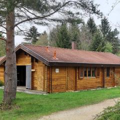 Ferienhaus Donau 31 Glückskäfer