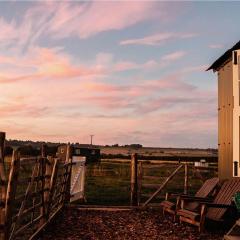 The Lookerer by Bloom Stays