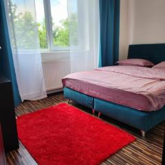 Apartament Cochet Cozy Gara De Nord Metrou