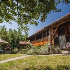Pool Village House Breznica