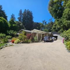 Nisene Retreat