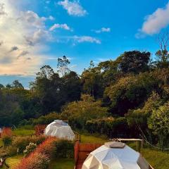 Boreal Refugio Natural