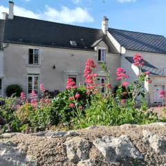 Maison charmante à La Chapelle-Saint-Martin-en-Plaine avec jardin