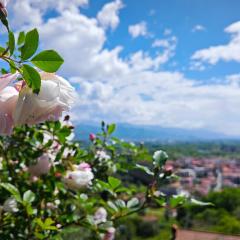Trebiano a casa dei nonni