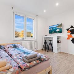 Apartment 20 minutes from City Center w Coffee, Tea, TV, and Parking