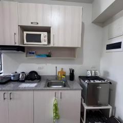 Tulip Garden Apricot Southwoods Binan 1BR with Pool & gym