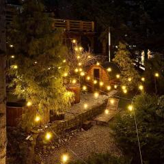 Willa z sauną, balią, salą imprezową - biliard, piłkarzyki