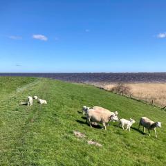 Chalet Ufergrundstück Mit Eigenem Angelplatz