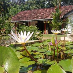 Minu Homestay & Villa