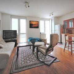 Pleasant apartment close to city center
