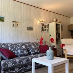 Studio confortable, idéal pour 4, avec balcon, proche pistes et centre bourg ! - FR-1-548-35
