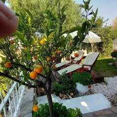 Nikos Stone House 80m from the beach with wifi