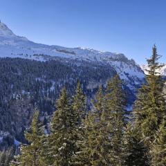 Résidence Les Pleiades - Appartement rénové · Centre station · Balcon · Parking couvert MAE-8234