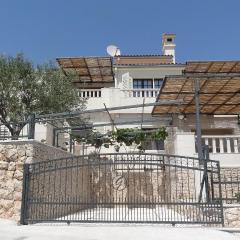 Apartments Branka