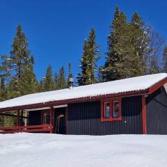 Sauna | Wi-Fi | Terrace | Wood stove | Cable TV