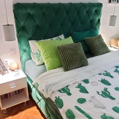 Green Cactus Rooms - unique and cozy house