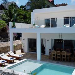 Beachfront Alma Villa with Private Pool ZanzibarHouses