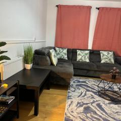 Lovely Spacious 2 Bedroom Flat in Bethnal Green, 3mins away from station