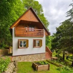 Cozy Modern Cottage by the Forest