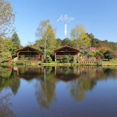 Listed lodge with pool in the heart of the Landes