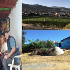 OLD School FAMILY KETAMA