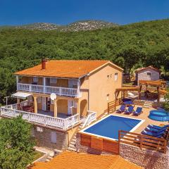 Pet Friendly Home In Donji Zagon