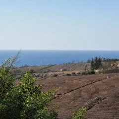 Beautiful 1-Bedroom House 'Oficina' Finca Vistamar