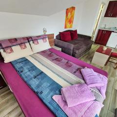 Vila Aleksandra 2 Studio 14