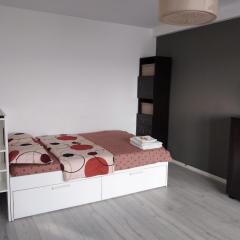 Superb 1BR apartment with Air Conditioner