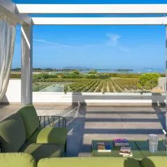 Martina's Vineyard - villa