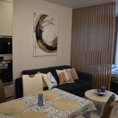 Elegant Residence near Bratislava Downtown