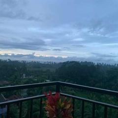 Beach Paddy View Villa